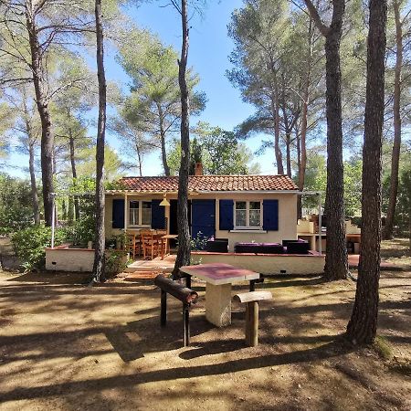 Maisonnette En Pleine Nature Le Beausset Luaran gambar